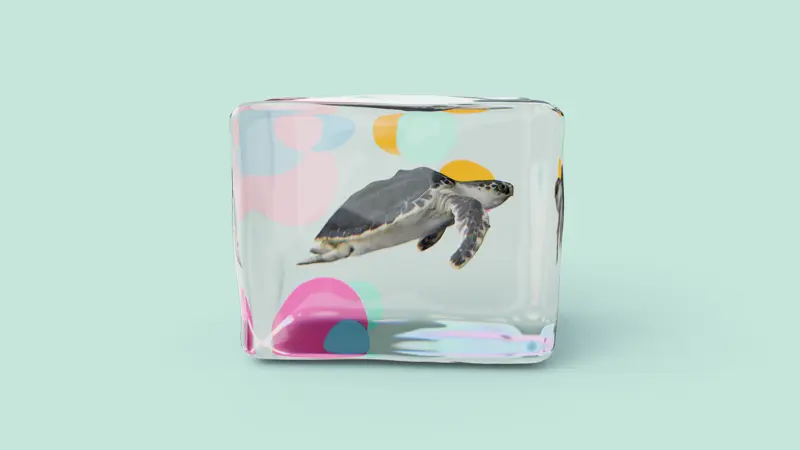 Aquarium